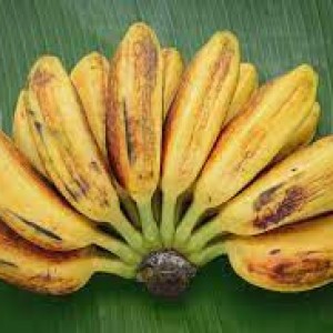 Pisang Kepok