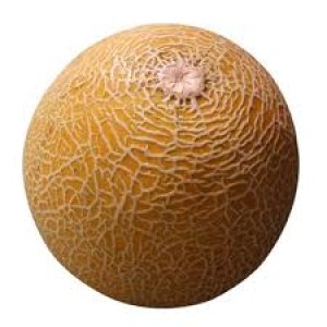 buah Melon
