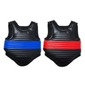 Body Protektor Silat