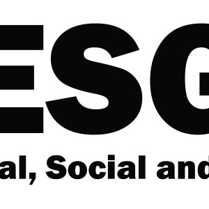 ESG Konsultan, Training dan Sertifikat