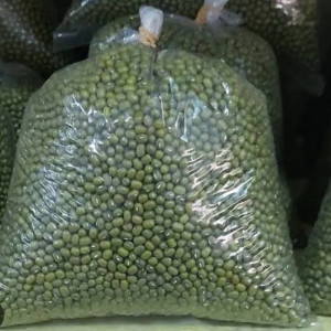Kacang Hijau Lokal/Curah