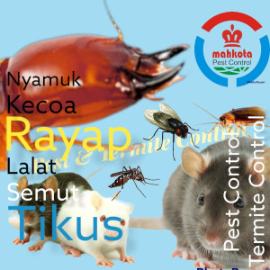 PEST CONTROL DAN TERMITE CONTROL