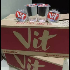 air mineral Vit cup 42x220 ml