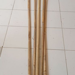 sapu sawang