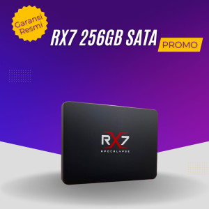 Harddisk SSD 256 GB 2,5 Inch Merk RX7