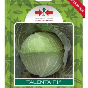 Benih Kubis Talenta F1