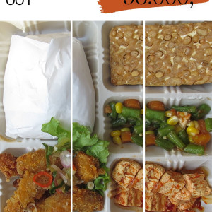 PAKET NASI 001