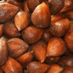 BUAH SALAK