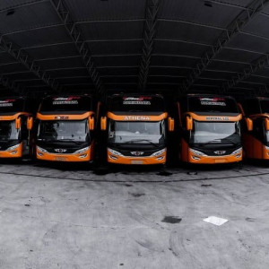 BUS MEDIUM PARIWISATA