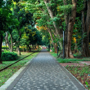 Pemeliharaan Taman