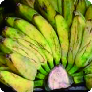 PISANG KEPOK