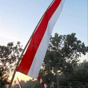 UMBUL-UMBUL PANJANG 6M