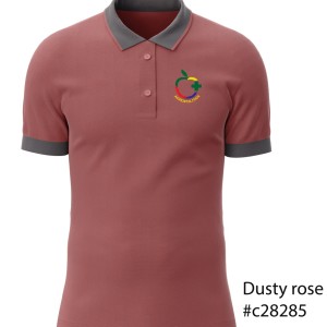 Kaos Polo CVC hexagon