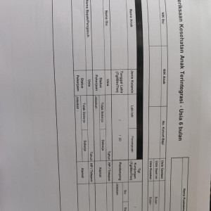 Pemeriksaan usia 6 bulan