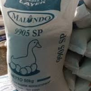 Pakan Itik Malindo 9905 SP