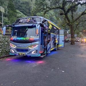 Bus Medium Kapasitas 34/35 seat