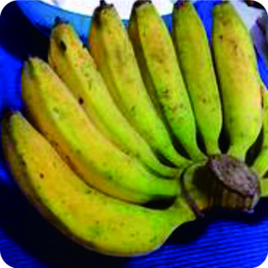 PISANG RAJA