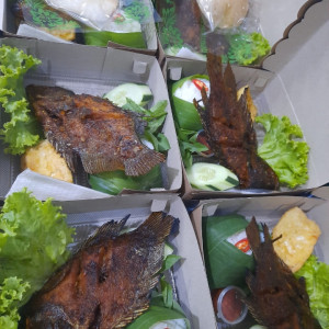 Nasi Kotak