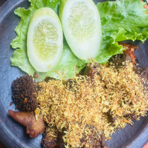 Paket Nasi Babat/Iso/Paru Goreng