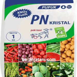 pupuk kno 3 25Kg