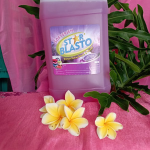 detergen cair starblasto