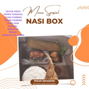 Nasi kotak