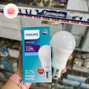 Philips LED 15 Watt