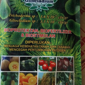 Prisai Ajaib TRICHODERMA DAN GLIOCLADIUM