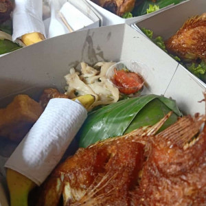 nasi box 1