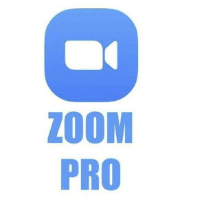 Zoom Pro - 100 peserta