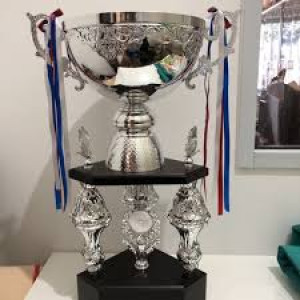 Piala Besar
