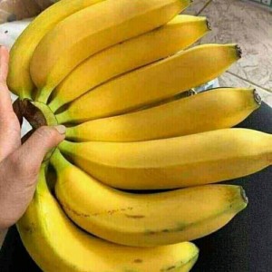 Buah Pisang Ambon (Pcs)