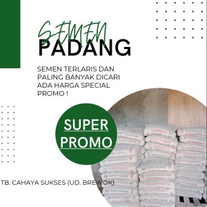Semen Padang 40 KG PCC