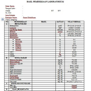 Formulir Hasil Pemeriksaan Lab