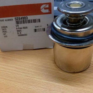 Thermostat cummins