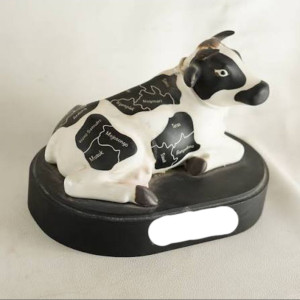 Souvenir Sapi Ndekem