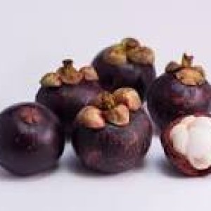 Buah Manggis