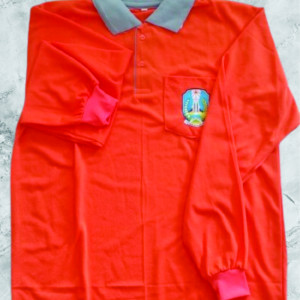 KAOS OLAHRAGA LOGO CUSTOM