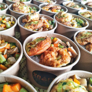 RICEBOWL / NASI PAKET REGULER