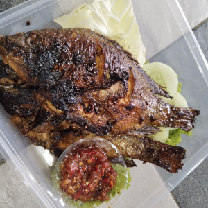 NASI BOX / NASI KOTAK PAKET MEDIUM