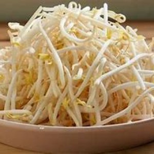 Tauge Segar kemasan 1 kg