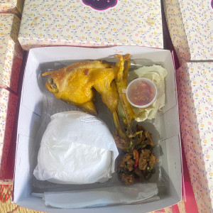 PAKET NASI DUS