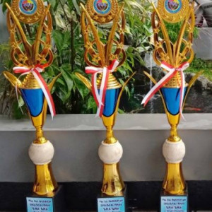 Piala Plastik 50 cm