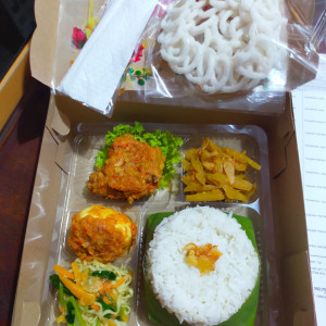 Paket Nasi kota 1