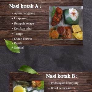 NASI KOTAK