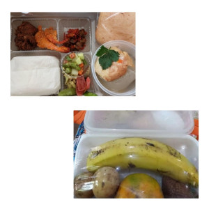 Paket Nasi Box 10