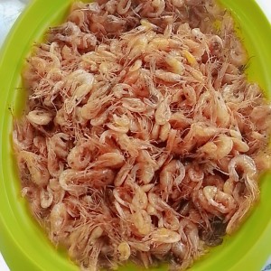 Goreng udang sawah