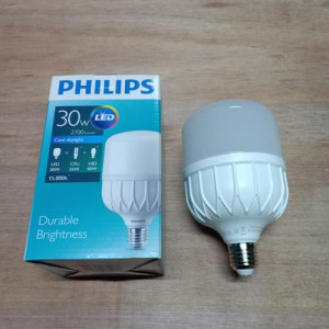 lampu LED philips 30 w
