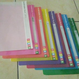 BUSINESS FILE (Map PLASTIK Snelhechter)