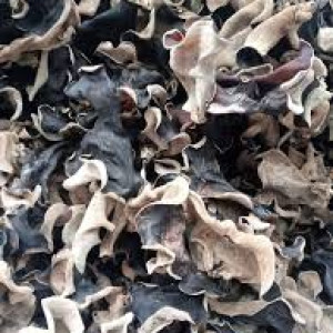 Jamur Kuping Kering